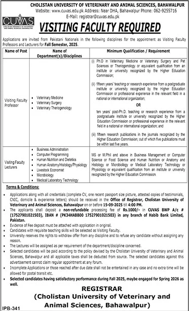 jobs in Cholistan University of Veterinary & Animal Sciences Bahawalpur
